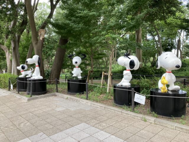 アクル整骨院 | 南町田散歩、、、2024.7.25(木) - IMG_7133