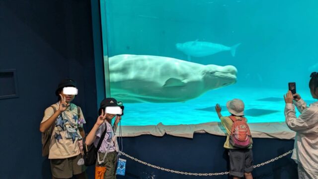 アクル整骨院 | 南町田、産後骨盤矯正・マタニティ整体、、2024.8/10(土) - IMG_7344