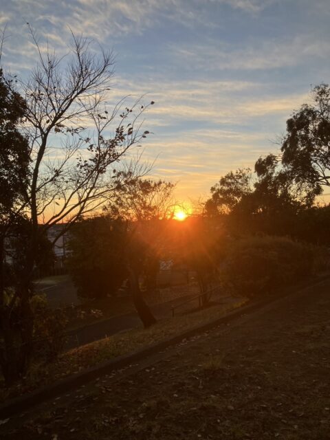 アクル整骨院 | 交通事故 むちうち 2024.12.6(金) - IMG_8687