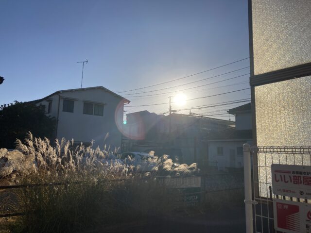 アクル整骨院 | 50周年！！ 2024.12.8(月) - IMG_8720