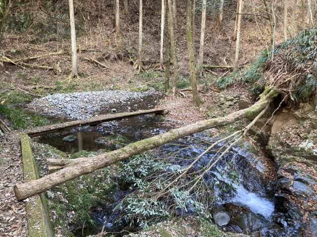 アクル整骨院 | 南町田　姿勢改善　2025.1/26(日) - IMG_9058