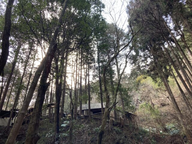 アクル整骨院 | マタニティ整体（妊娠中 整体）　産後骨盤矯正　南町田　2025.2.3(月) - IMG_9050