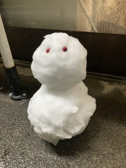 アクル整骨院 | 南町田　マタニティ整体（妊娠中の整体）　2025.3.4(火) - IMG_9452