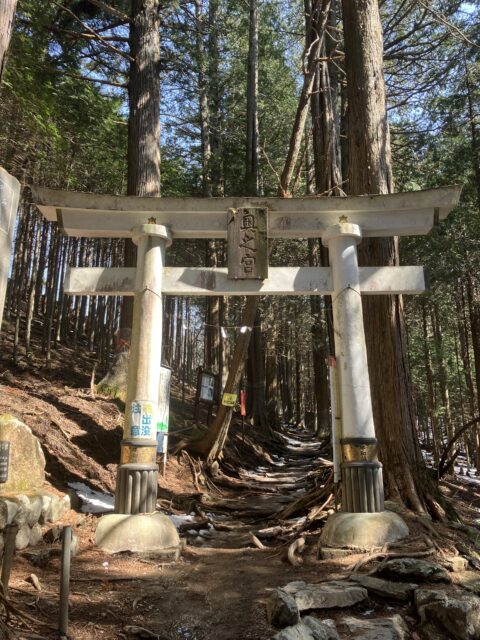 アクル整骨院 | 交通事故治療整体　厄払い⛩️ 2025.3.23(日) - IMG_9694