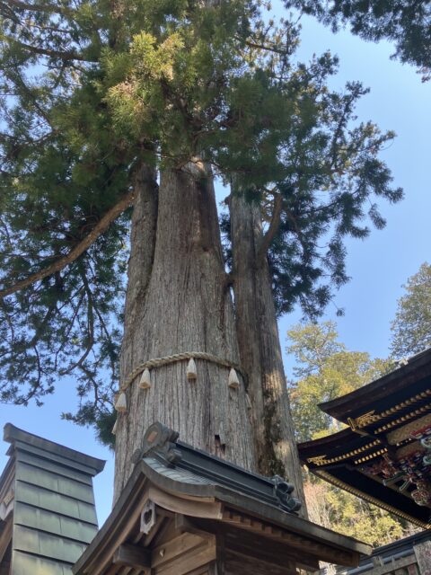 アクル整骨院 | 交通事故治療整体　厄払い⛩️ 2025.3.23(日) - IMG_9699