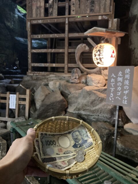 アクル整骨院 | 南町田 〜 鎌倉　整体　2025.5.6（火祝） - IMG_0532