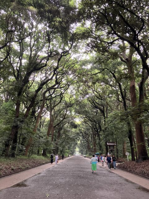 アクル整骨院 | 南町田　マタニティ（妊娠中）整体　2025.6.15(日) - IMG_0957