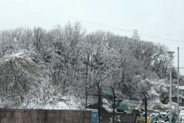 アクル整骨院 | 南町田で整体をお探しの方へ。雪景色と寒暖差に負けない身体作りを！2026.2.22 - 2026.2.8冬景色2