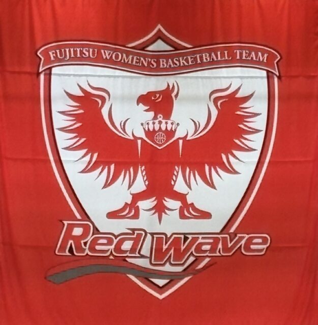 アクル整骨院 | 南町田・成瀬・南つくし野で整体や交通事故治療をお探しの方へ。富士通レッドウェーブ観戦記！ - Screenshot