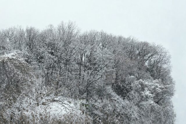 アクル整骨院 | 南町田で整体をお探しの方へ。雪景色と寒暖差に負けない身体作りを！2026.2.22 - 2026.2.8冬景色